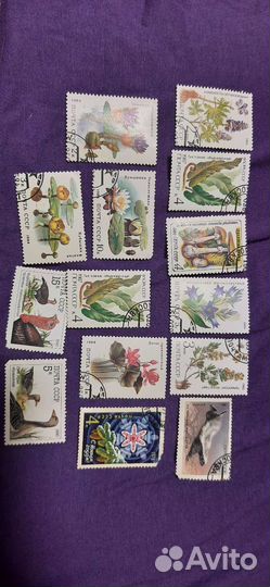 Почтовые марки, коллекция