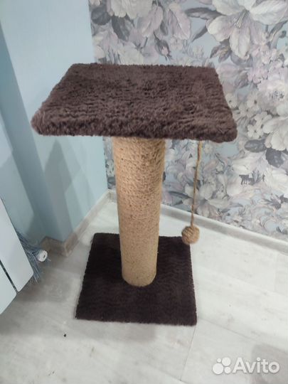 Когтеточка