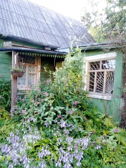 Участок 10 сот. (СНТ, ДНП)