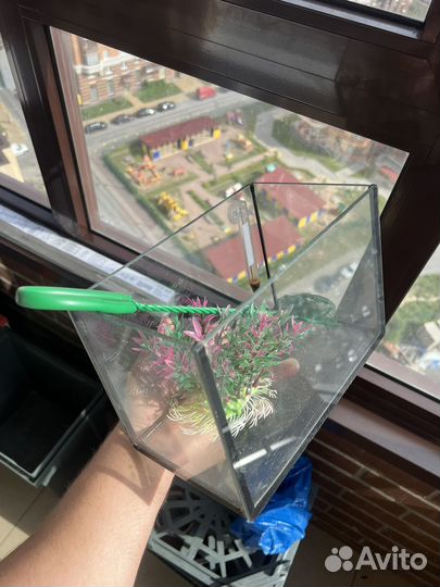 Аквариум маленький