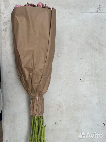 Цветы Пионы оптом