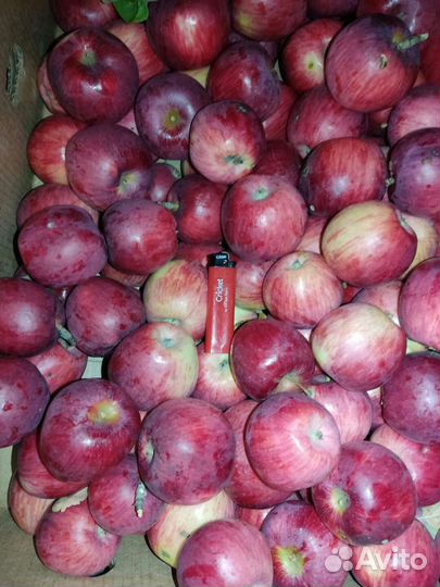 Яблоки