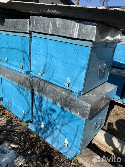 Ульи для пчел