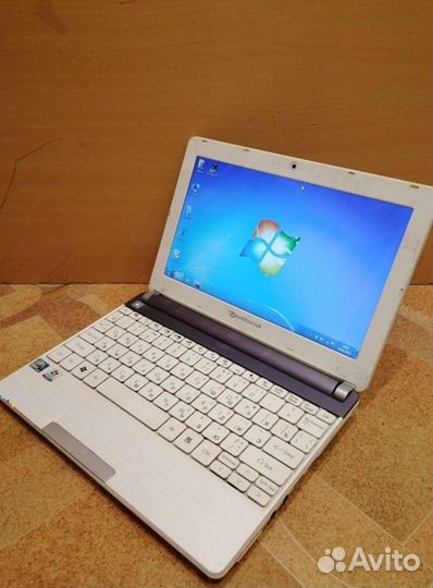 Packard Bell dot s