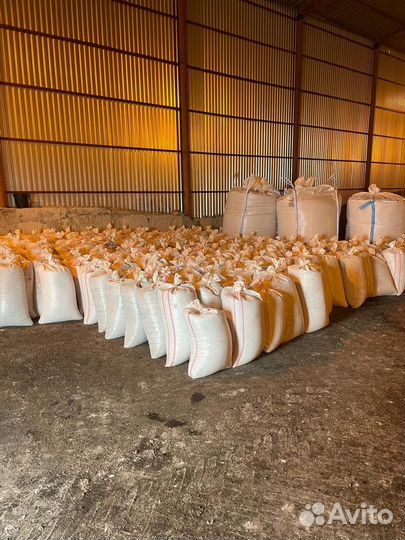 Продам семена подсолнечника