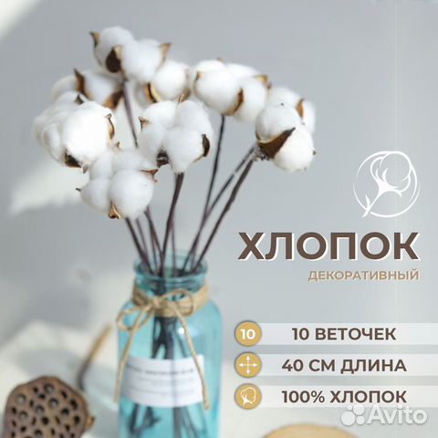 Ветки хлопка