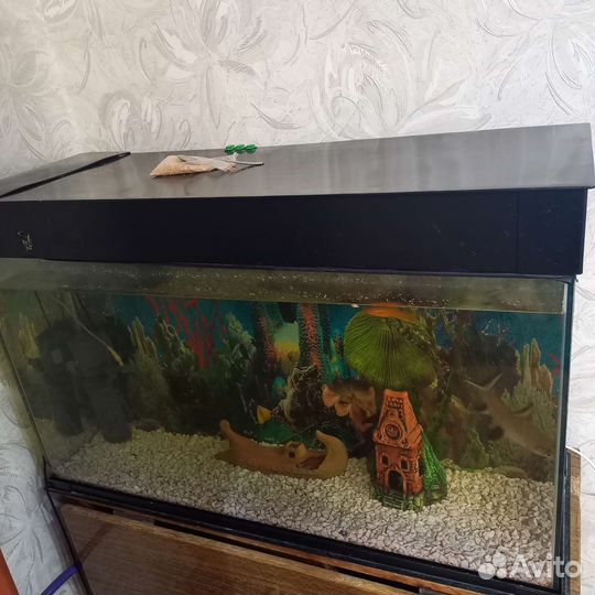 Аквариум