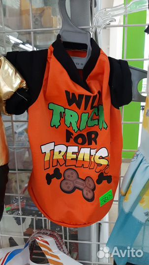 Одежда для маленьких собак