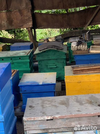 Улей для пчел