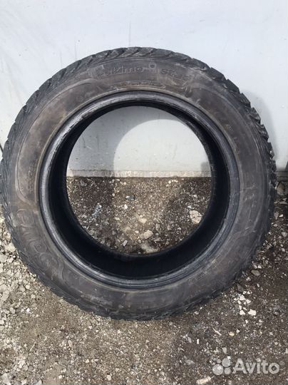 Sava Eskimo Stud 205/55 R16