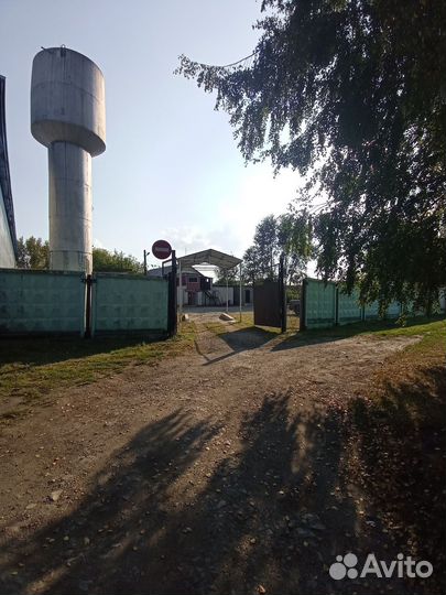 Колбасный цех