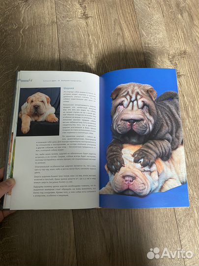Книги про собак
