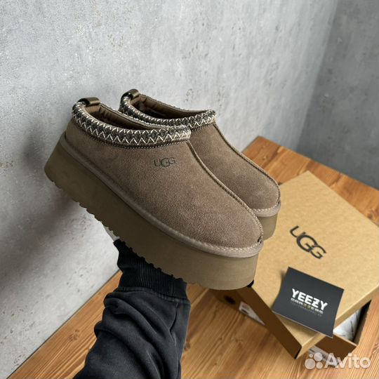 Женские Тапочки Ugg Tazz New Hickory