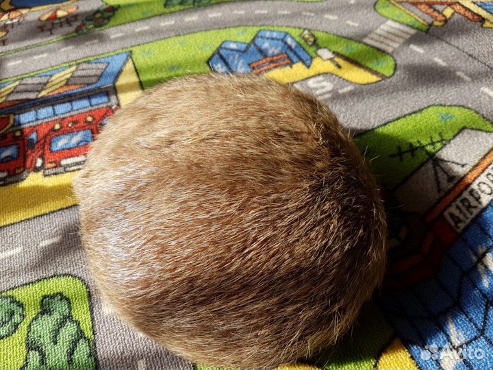 Зимняя шапка из нутрии СССР