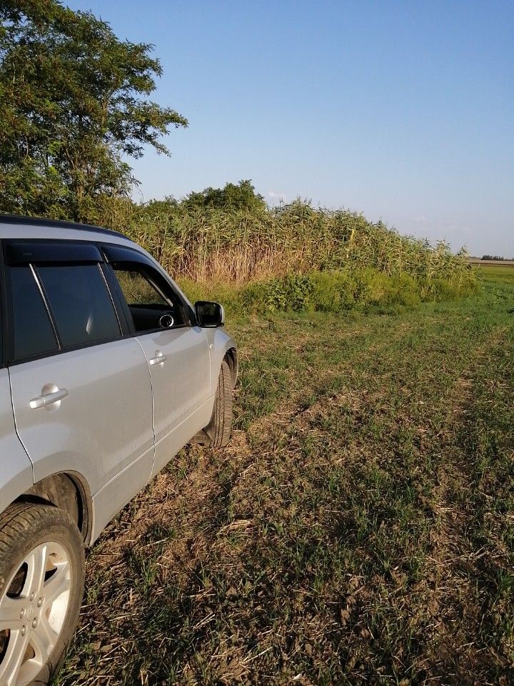 Suzuki Grand Vitara: фото владельца