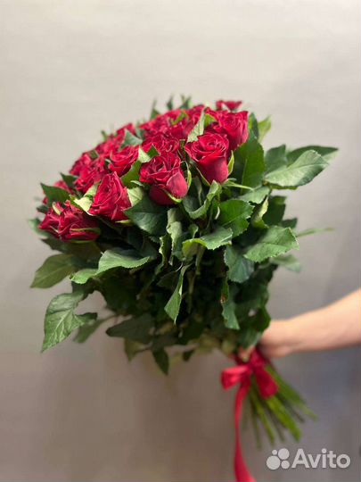 Свежая Голландская роза от склада