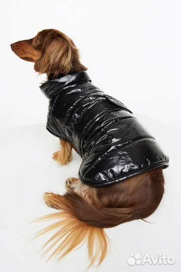 Одежда для маленьких собак