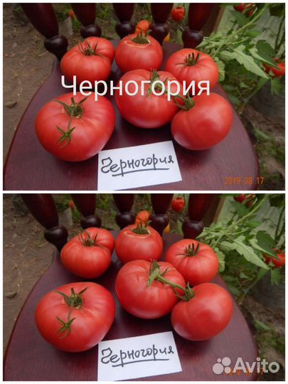 Семена томатов