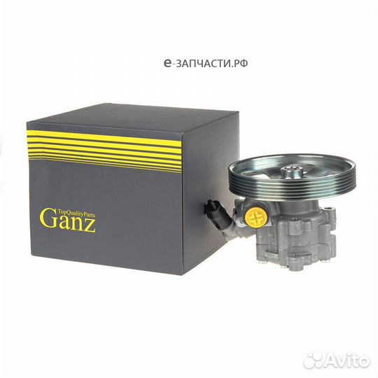 Ganz GIL02031 Насос гура