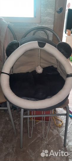 Домик для котов и кошек