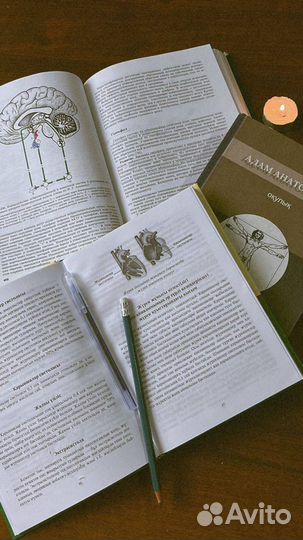 Репетитор по биологии