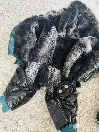 Одежда для собак за 2