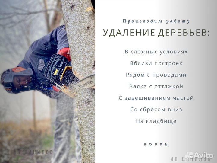 Расчистка участка от деревьев, под строительство