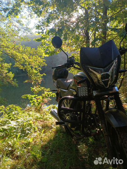 Продаю альфу