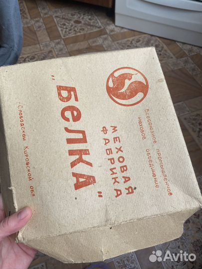 Шампка из норки