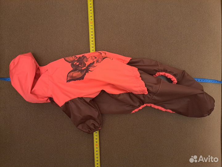 Новый комбинезон для маленькой собаки