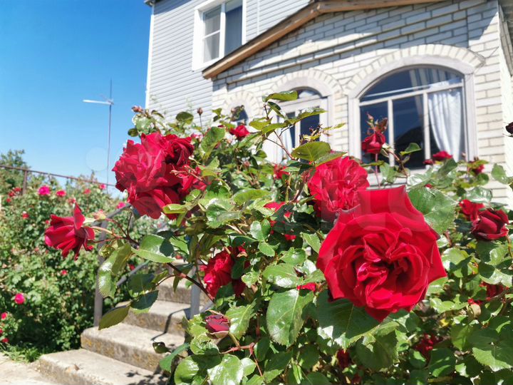 Дом 250 м² на участке 20 сот.