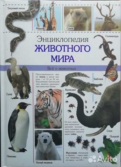 Детские энциклопедии