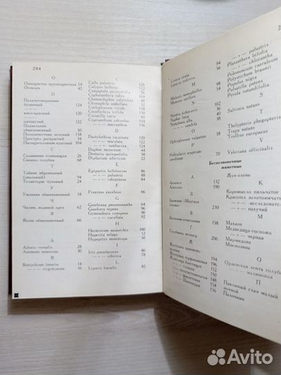 Книга редкие и исчезающие растения животные чр