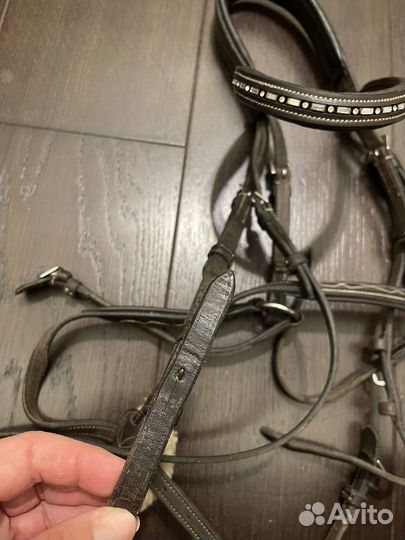 Коричневая мексиканская уздечка Cob