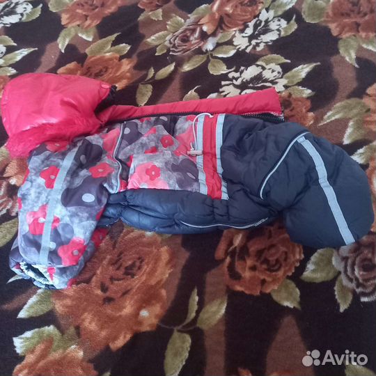 Одежда для собак