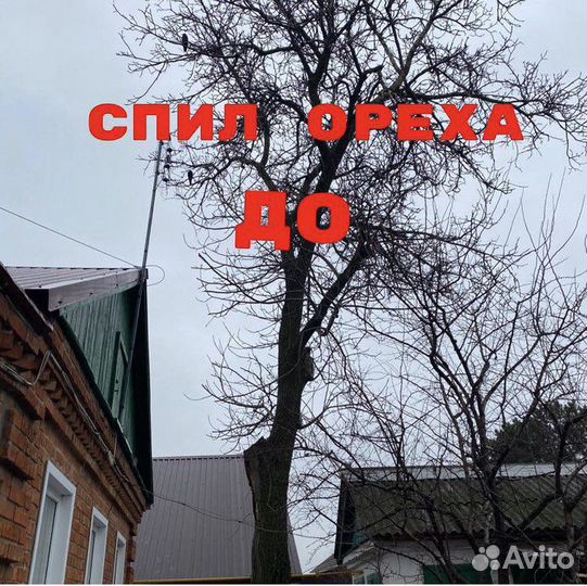 Спил деревьев уборка участка вывоз мусора