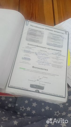 Материалы для подготовки к ЕГЭ, биология ЕГЭ, ЕГЭ