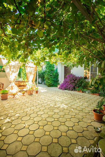 Отдых в Абхазии (Гагра)