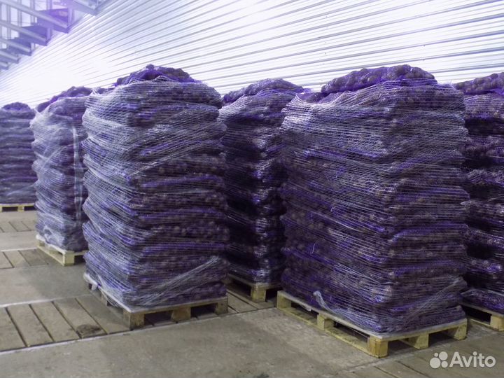 Картофель продовольственный оптом