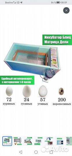 Инкубатор для яиц