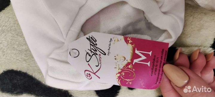 Одежда для маленьких собак