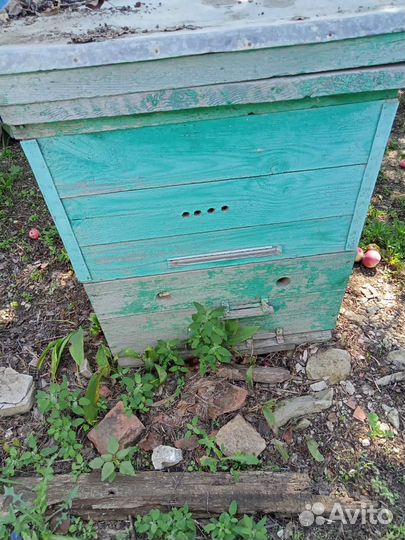 Все для пчеловодства