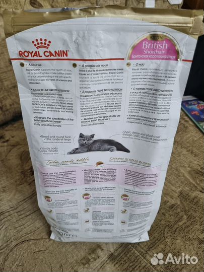 Сухой корм для котят Royal Canin для британской ко