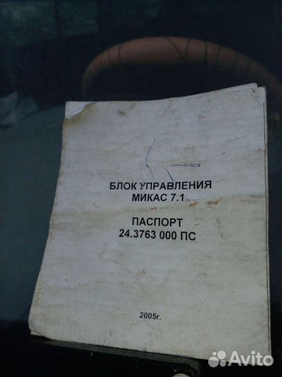 Мозги эбу на газель