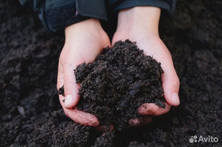 Грунт на подсыпку