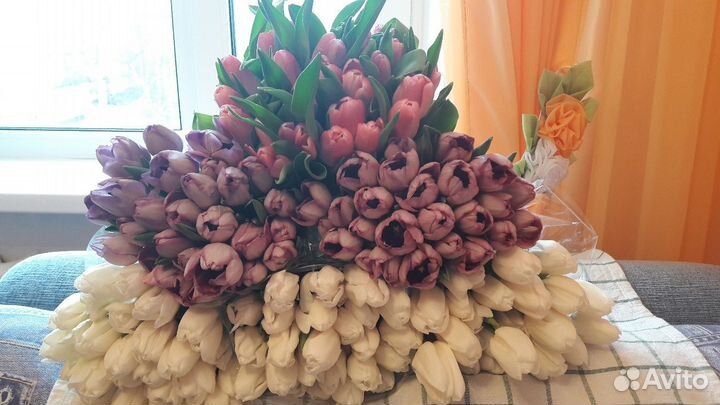 Тюльпаны Оптом и в Розницу в Арзамасе