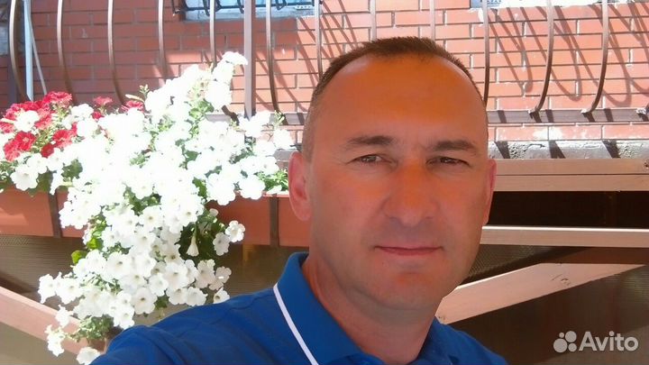 Программист