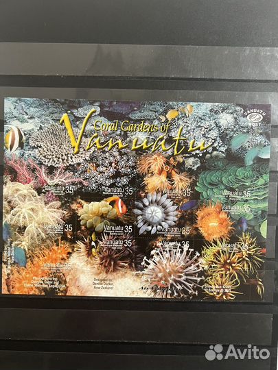 2005 г. Вануату. Фауна моря