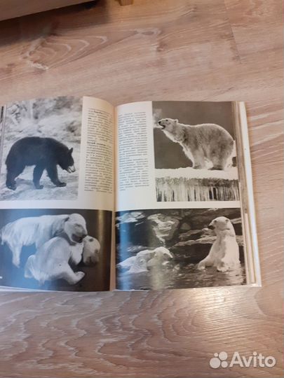 Иллюстрированная энциклопедия животных 1976 г