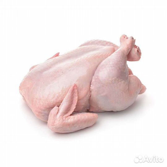 Утки, Куры(броллер)